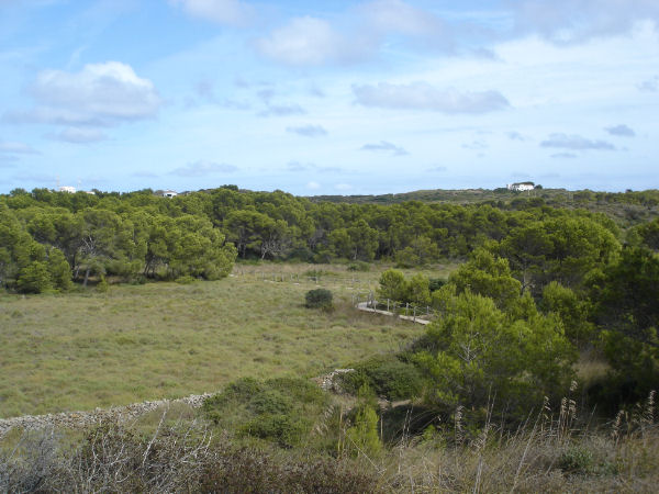 parco naturale albufera d'es grau minorca parco naturale albufera d'es grau minorca